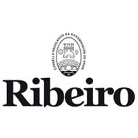 Logo D.O Ribeiro