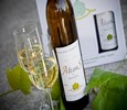 Visita a bodega
