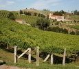 Bodega Pazo Baión