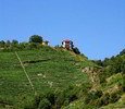 Bodega Vía Romana (Zona Miño)