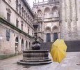 Visita guiada en Santiago de Compostela