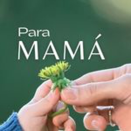 TARJETAS REGALO. ENVÍO  GRATIS