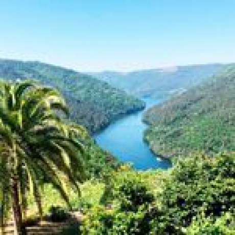 Conoce Ribeira Sacra