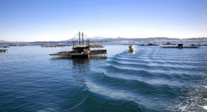 Ruta de los mejillones O Grove