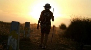 Camino Francés Sarria Santiago
