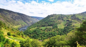 Conoce la Ribeira Sacra desde Monforte de Lemos | Hotel Cardenal 