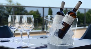 Adega Eidos Rías Baixas