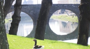 Hotel Cardenal Monforte