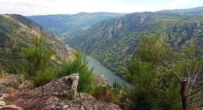 Ribeira Sacra Sil