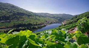 Casa do Agro Ribeira Sacra
