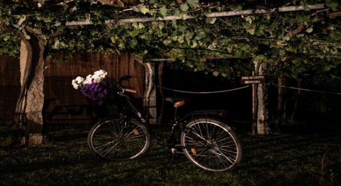 Burbuja Galicia Albarari