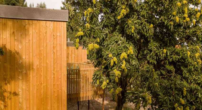 Aloia Nature Rias Baixas 