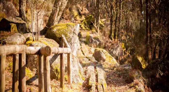 Aloia Nature Rias Baixas 