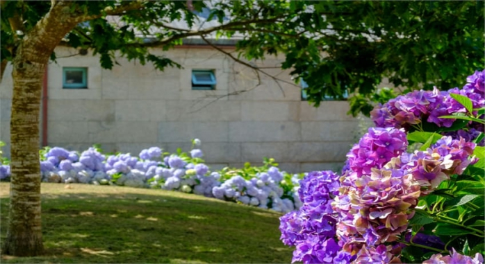 Balneario de Compostela Brión