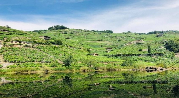Casa do Agro Ribeira Sacra
