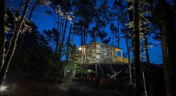 Cabañitas del Bosque