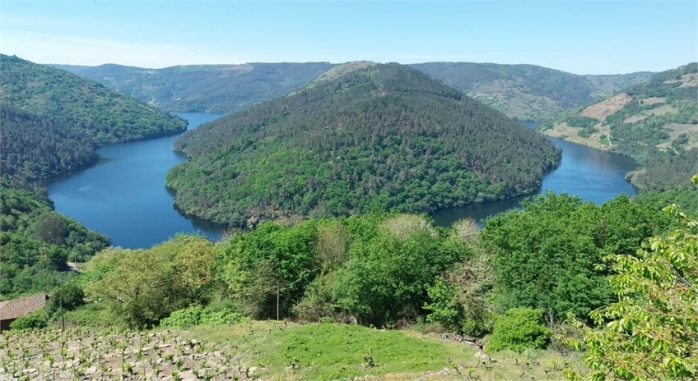 Ribeira Sacra 