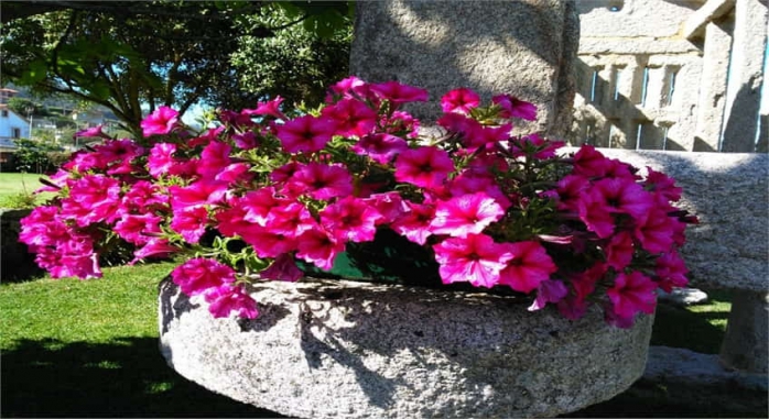 Casa Puertas Oia Baiona