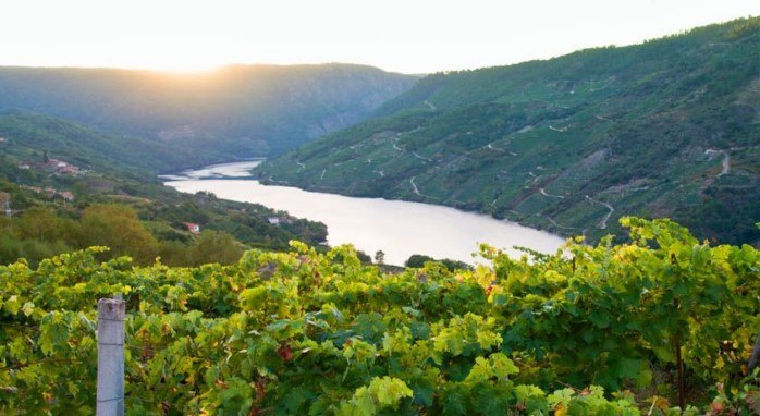 Ribeira Sacra