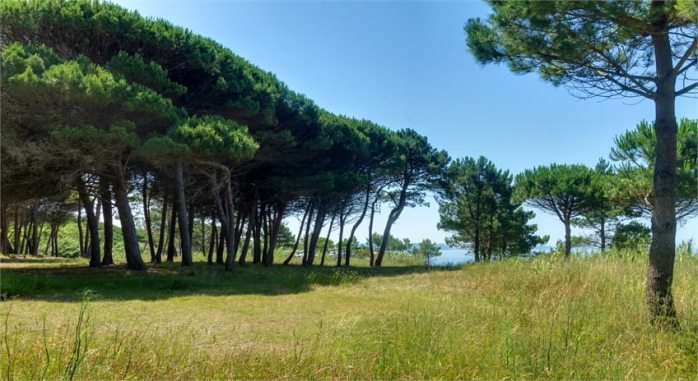 Duerming Montalvo Playa Rias Baixas