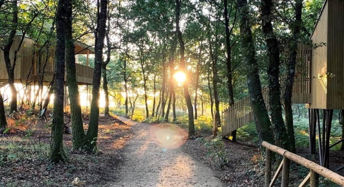 Cabañas Enoturismo Maria Manuela