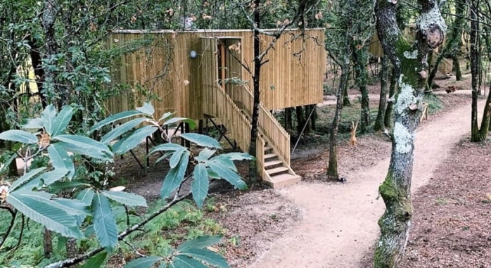 Cabañas Enoturismo Maria Manuela