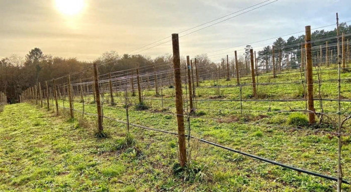Cabañas Enoturismo Maria Manuela