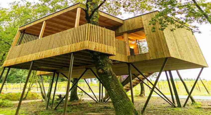 Cabañas Enoturismo Maria Manuela