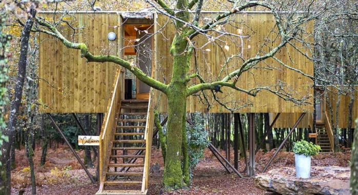 Cabañas Enoturismo Maria Manuela