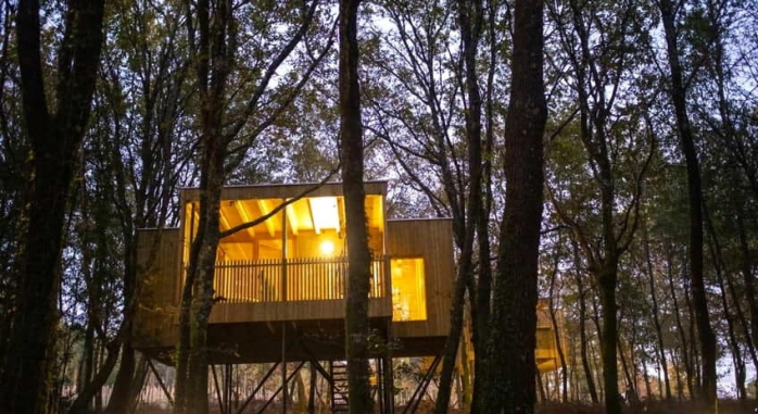 Cabañas Enoturismo Maria Manuela