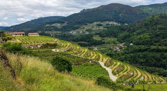 Casa do Agro Ribeira Sacra
