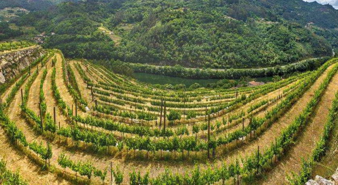 Casa do Agro Ribeira Sacra