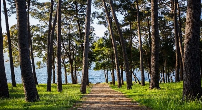 Gran Talaso Hotel Sanxenxo