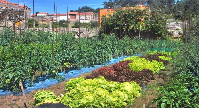 Hotel y Apartamentos Bosque Mar O Grove