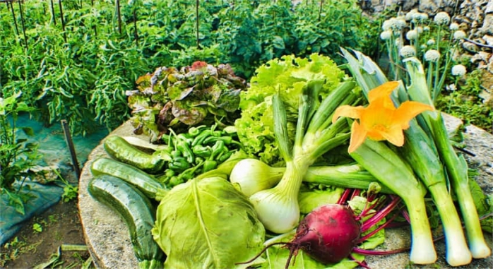 Hotel y Apartamentos Bosque Mar O Grove