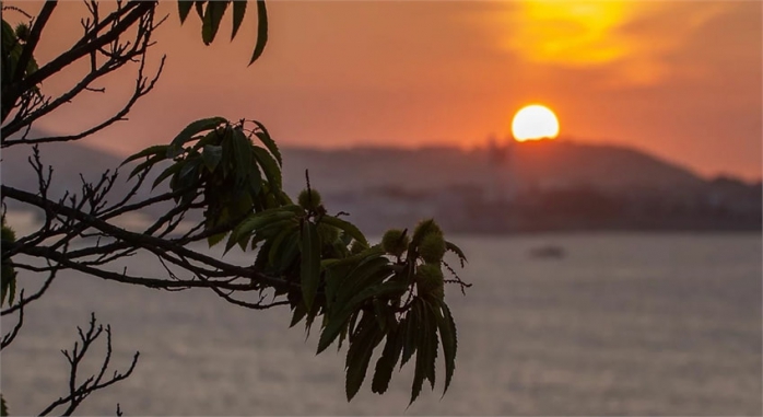 Burbuja Galicia Albarari 