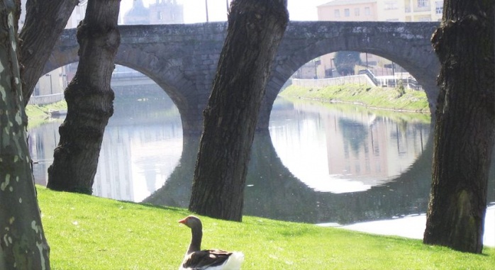 Hotel Cardenal Monforte