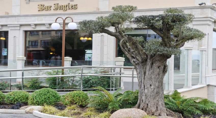 Hotel Os Olivos - Guísamo