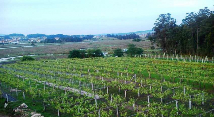Hotel San Marcos Cambados