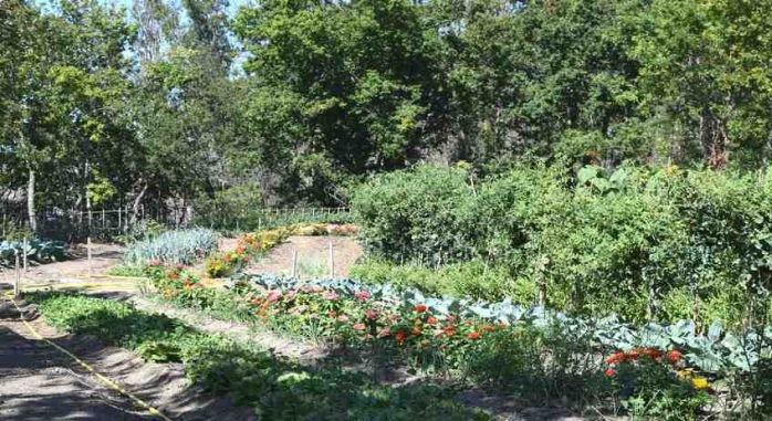 Nande Hotel da Natureza Rias Baixas