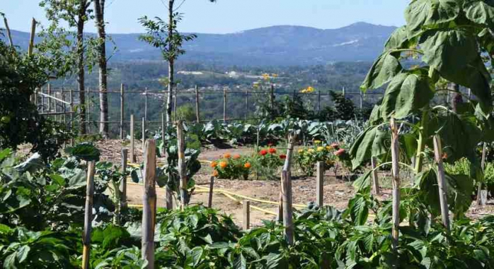 Nande Hotel da Natureza Rias Baixas