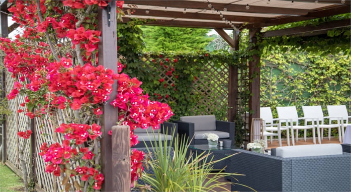 Galatea Spa - Rías Baixas