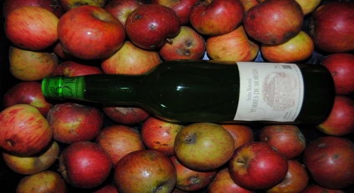 Torres de Moreda A Estrada