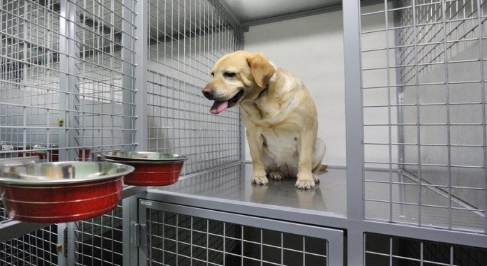 Hotel Norat Marina & Spa - O Grove