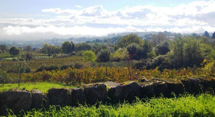 O Canto da Terra Ribeira Sacra