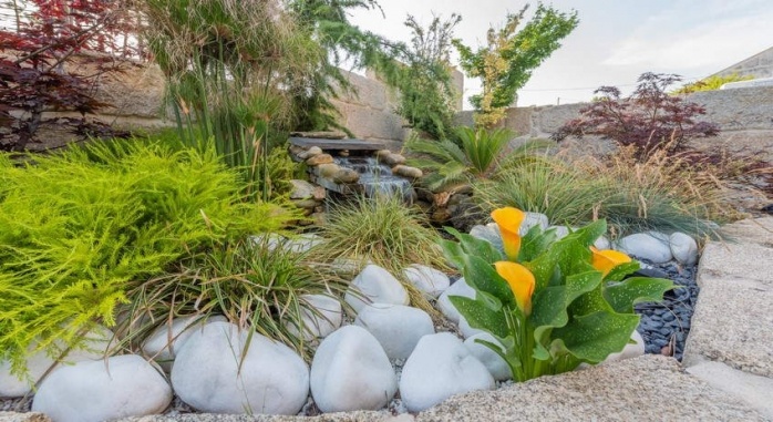 PR Nuevo Norat Sanxenxo Rias Baixas