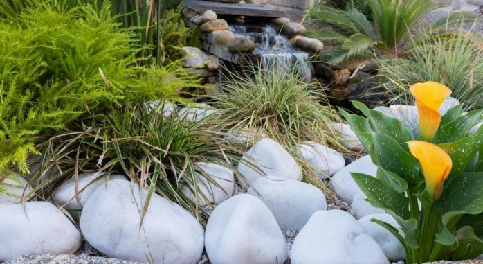 PR Nuevo Norat Sanxenxo Rias Baixas