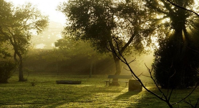 Pazo de Almuzara Ribeiro