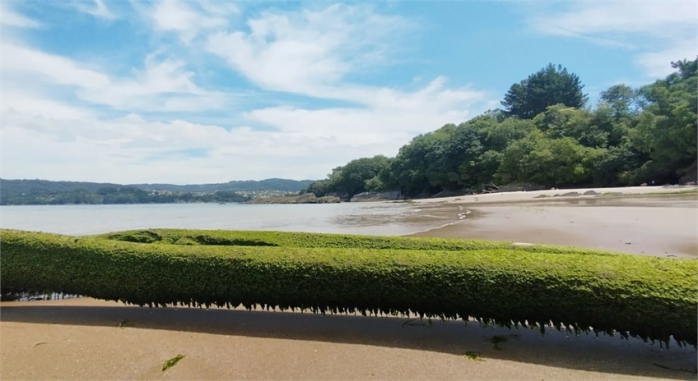 Alda Cabanas Playa Coruña