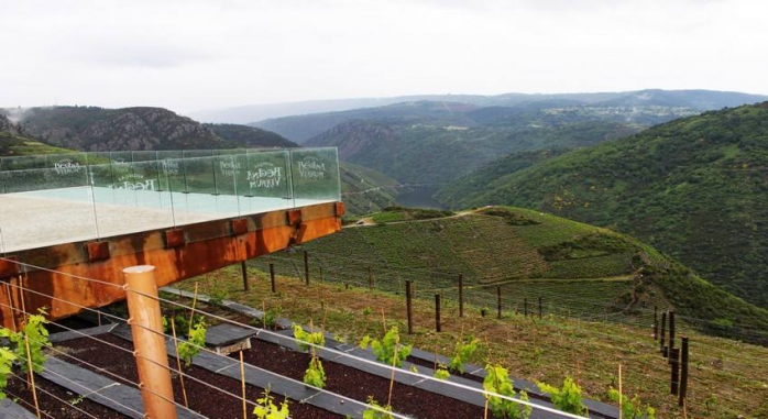 Bodega Regina Viarum